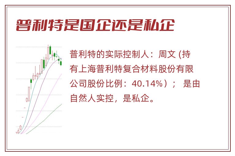 普利特是国企还是私企