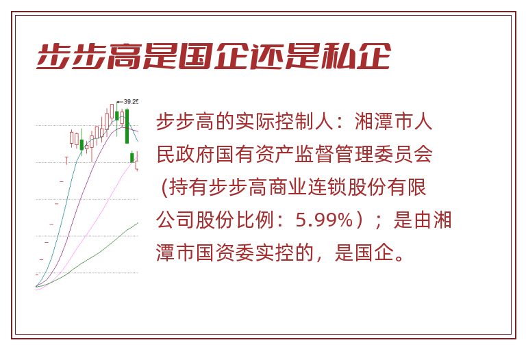 步步高是国企还是私企