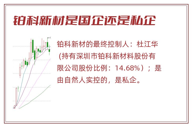 铂科新材是国企还是私企