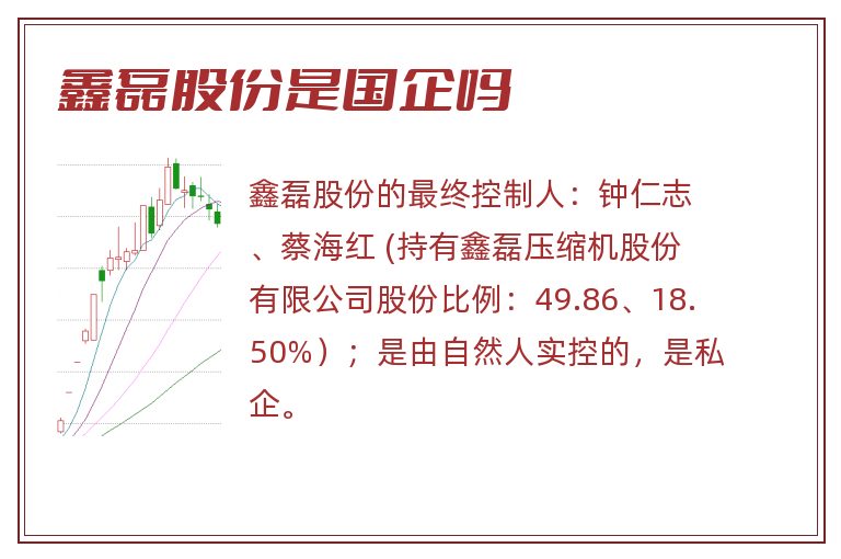 鑫磊股份是国企吗