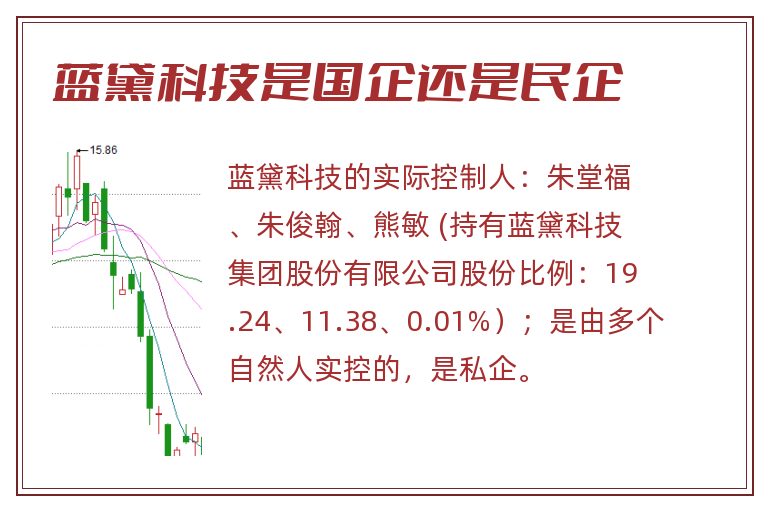 蓝黛科技是国企还是民企