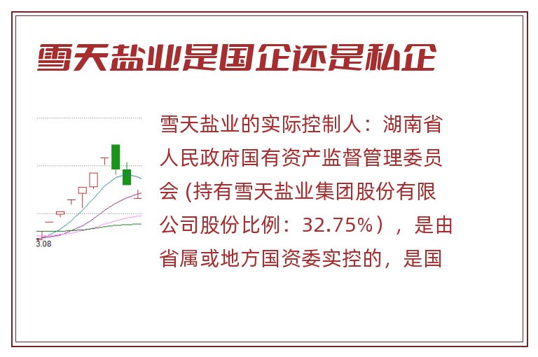 雪天盐业是国企还是私企