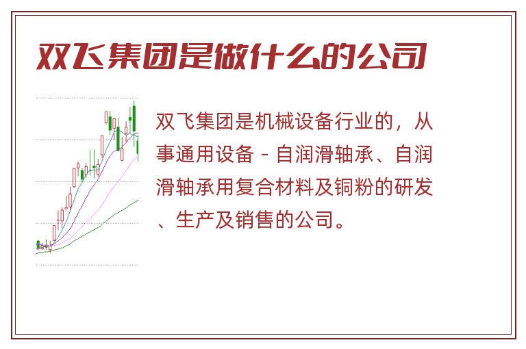 双飞集团是做什么的公司