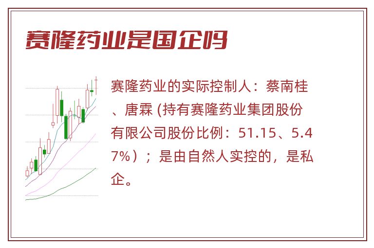 赛隆药业是国企吗