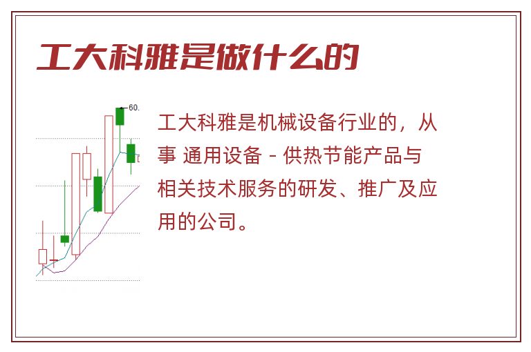 工大科雅是做什么的