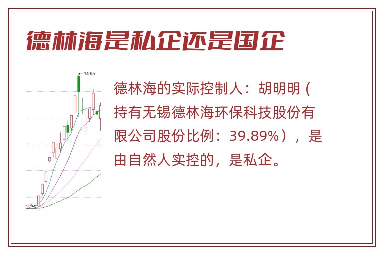 德林海是私企还是国企