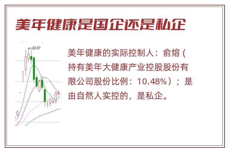 美年健康是国企还是私企