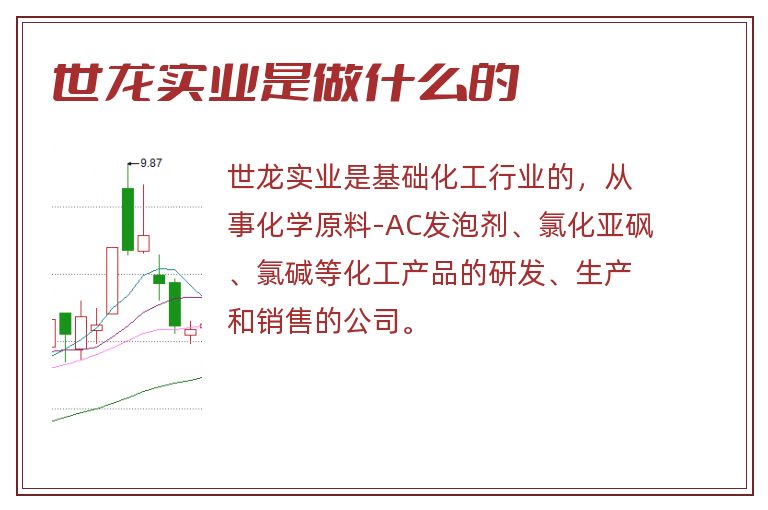 世龙实业是做什么的