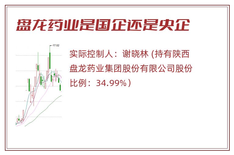 盘龙药业是国企还是央企