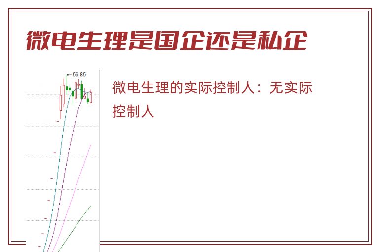 微电生理是国企还是私企