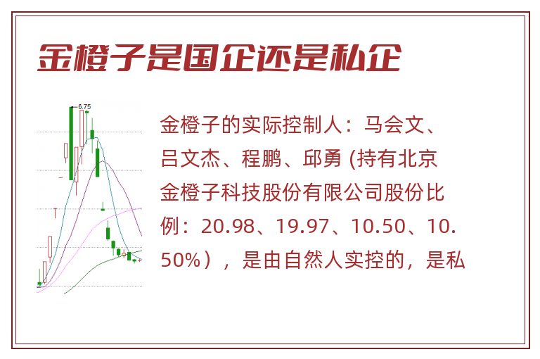 金橙子是国企还是私企