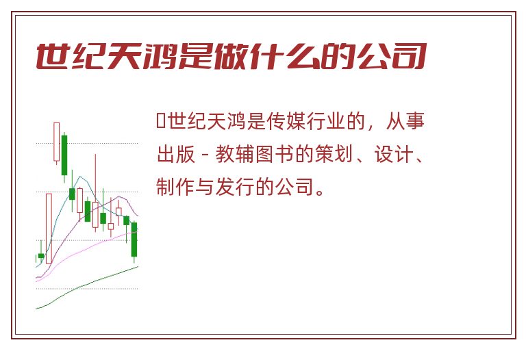 世纪天鸿是做什么的公司