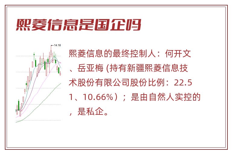 熙菱信息是国企吗