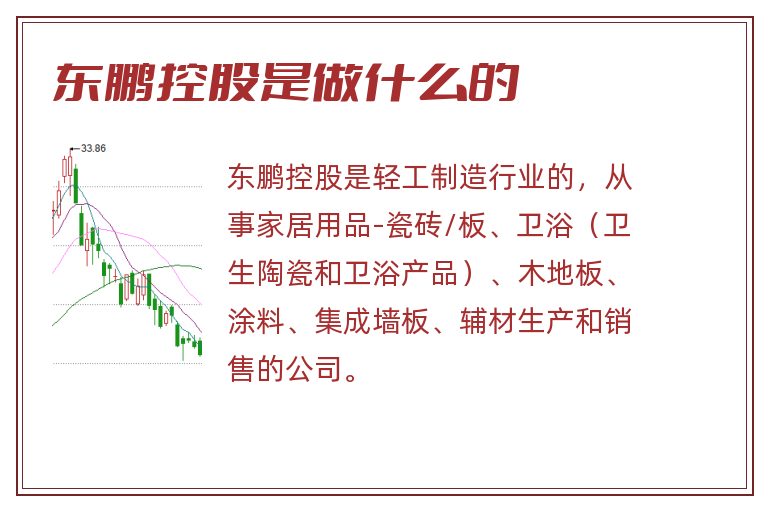 东鹏控股是做什么的