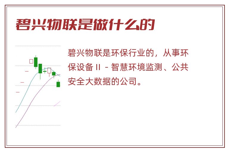 碧兴物联是做什么的