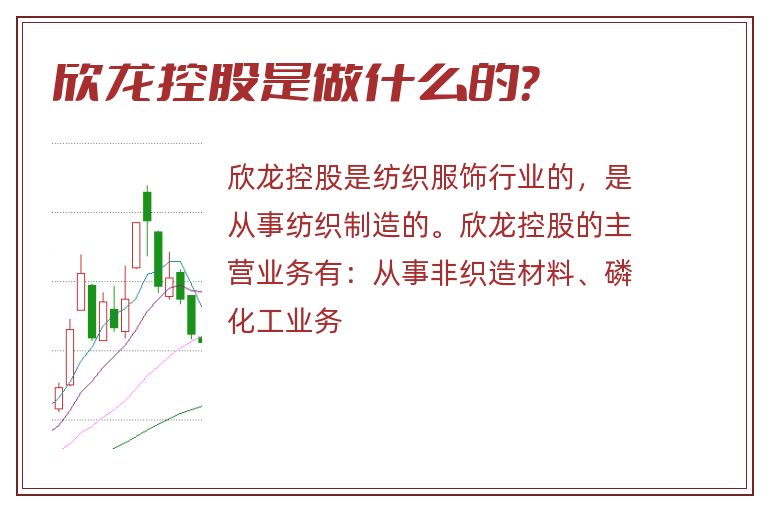 欣龙控股是做什么的？