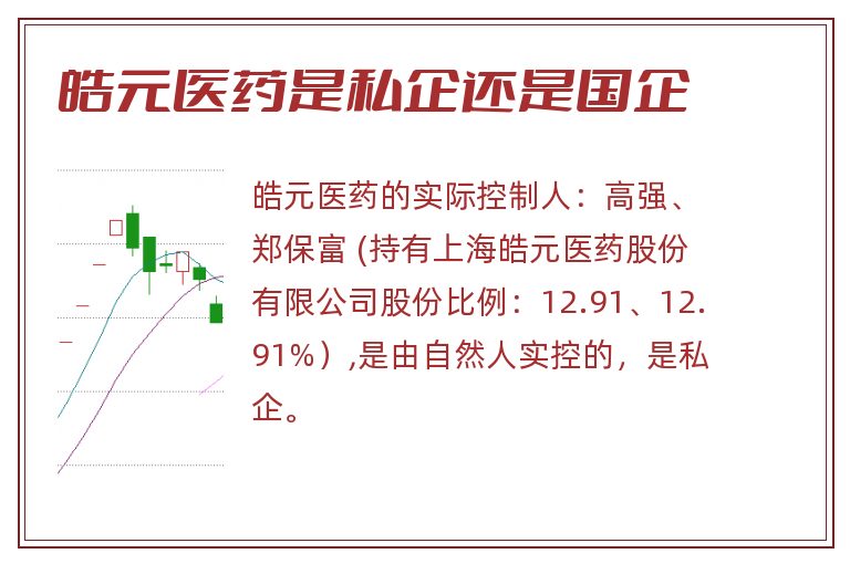 皓元医药是私企还是国企