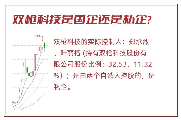 双枪科技是国企还是私企?