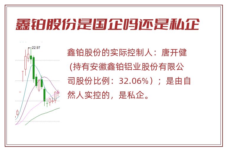 鑫铂股份是国企吗还是私企