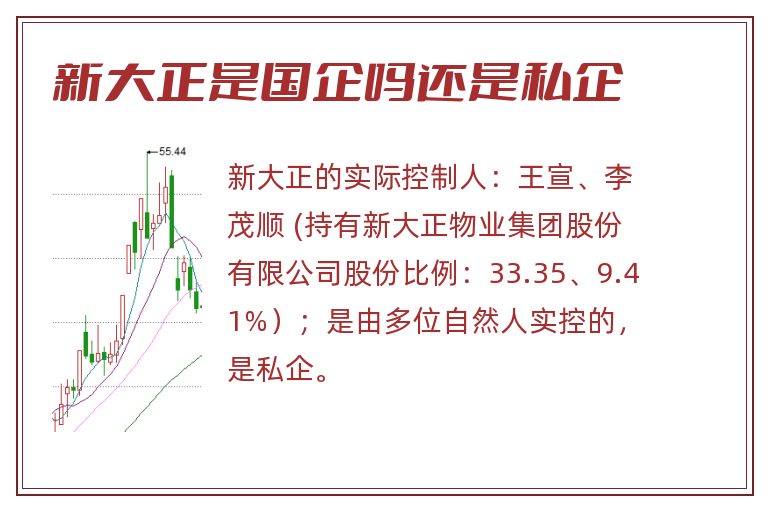 新大正是国企吗还是私企