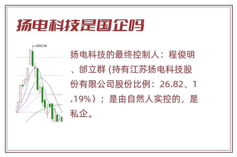 扬电科技是国企吗