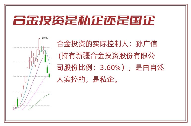 合金投资是私企还是国企