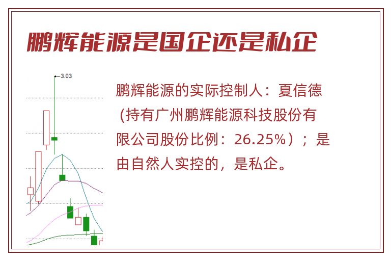 鹏辉能源是国企还是私企