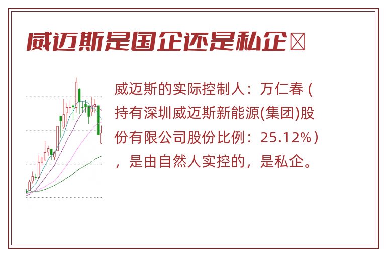 威迈斯是国企还是私企	