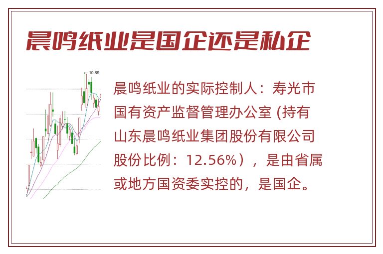 晨鸣纸业是国企还是私企