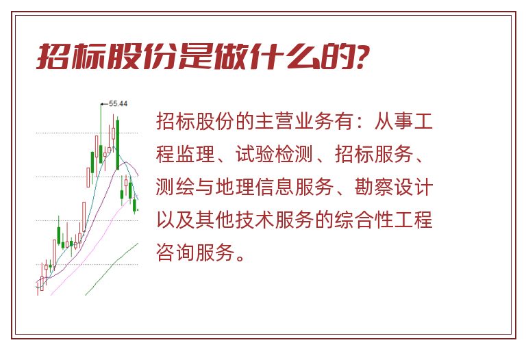 招标股份是做什么的？