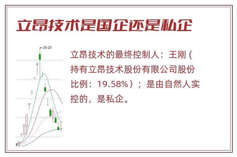 立昂技术是国企还是私企