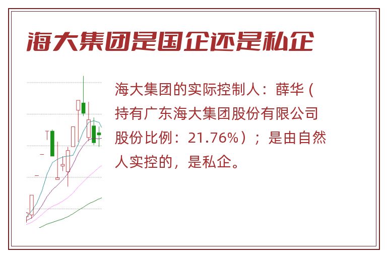 海大集团是国企还是私企