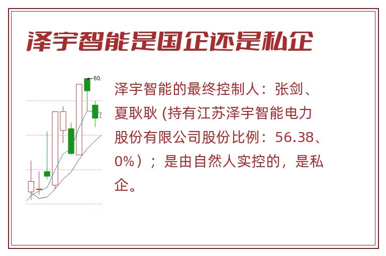 泽宇智能是国企还是私企