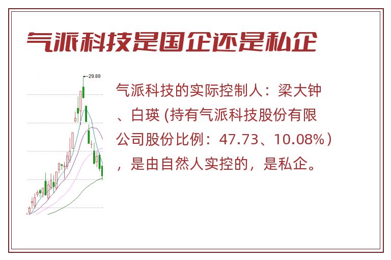 气派科技是国企还是私企