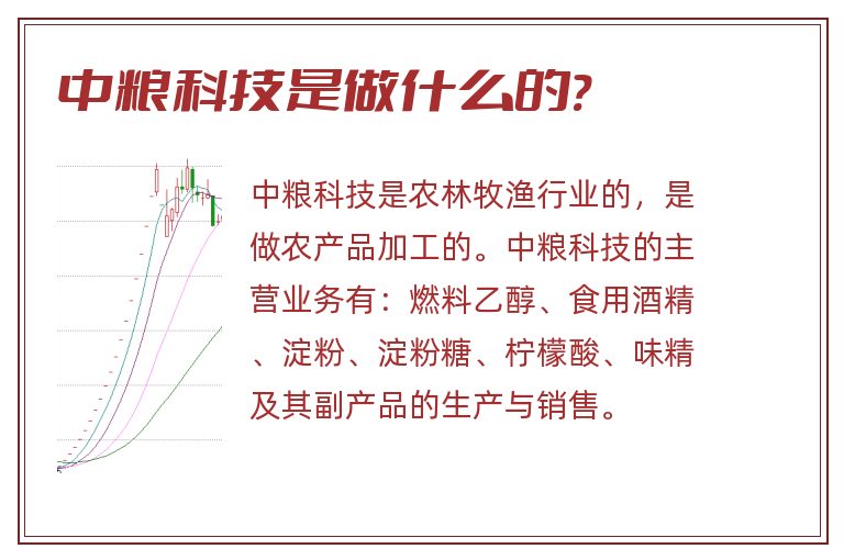 中粮科技是做什么的?