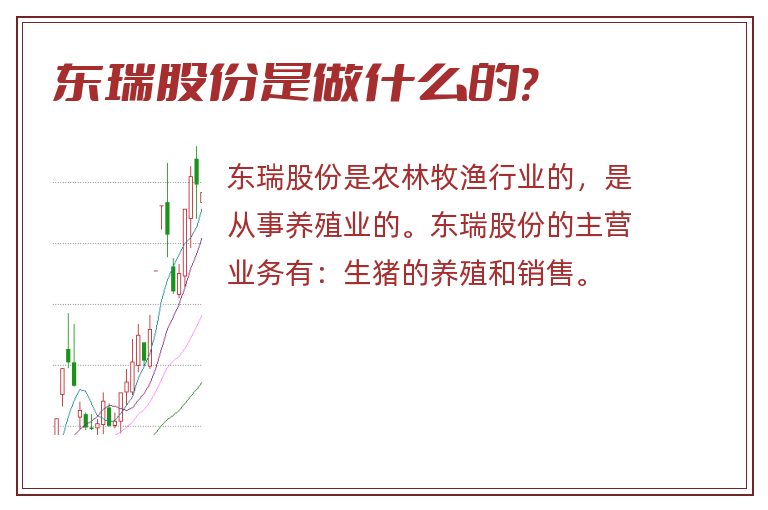 东瑞股份是做什么的?