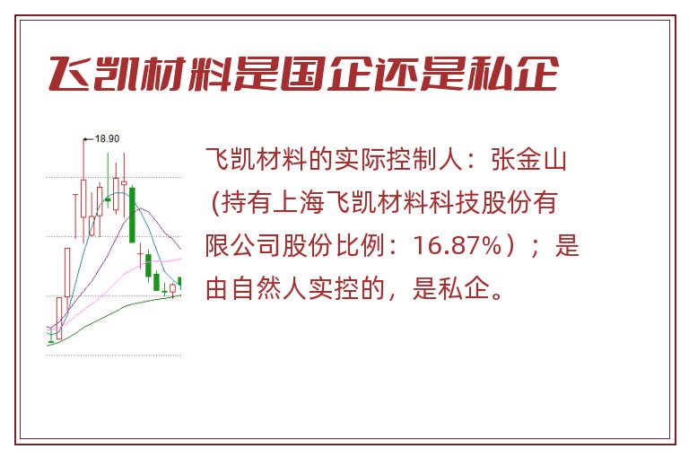 飞凯材料是国企还是私企