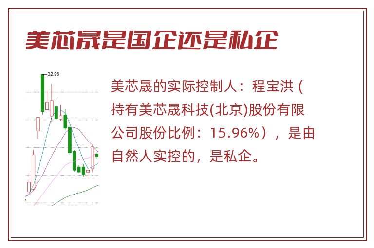 美芯晟是国企还是私企