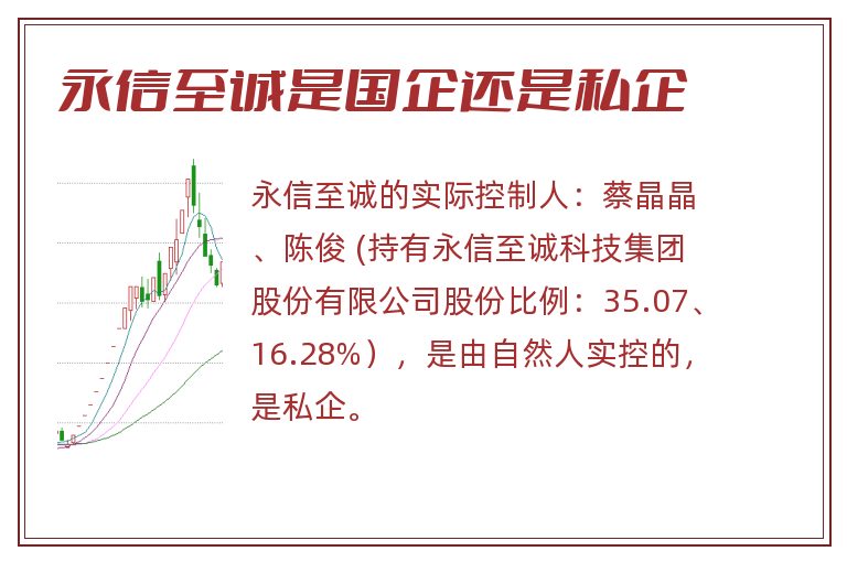 永信至诚是国企还是私企