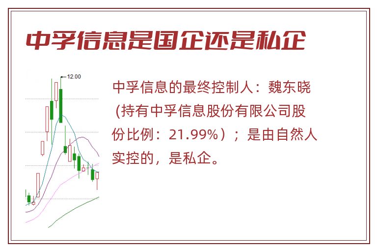 中孚信息是国企还是私企