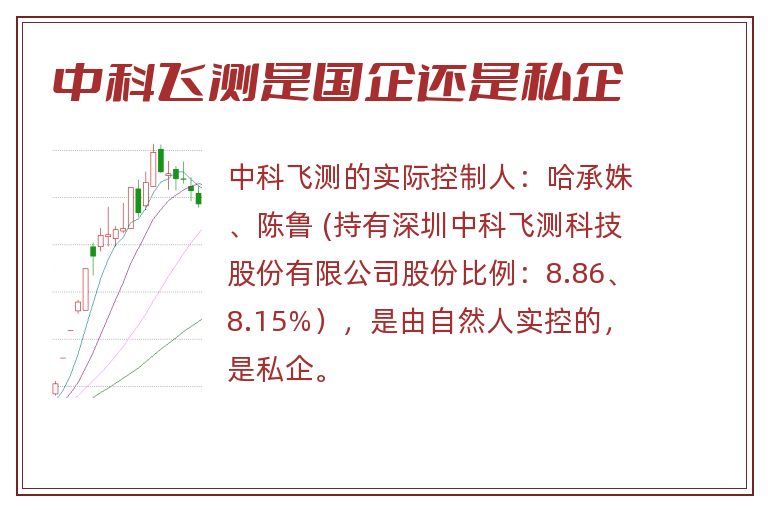 中科飞测是国企还是私企