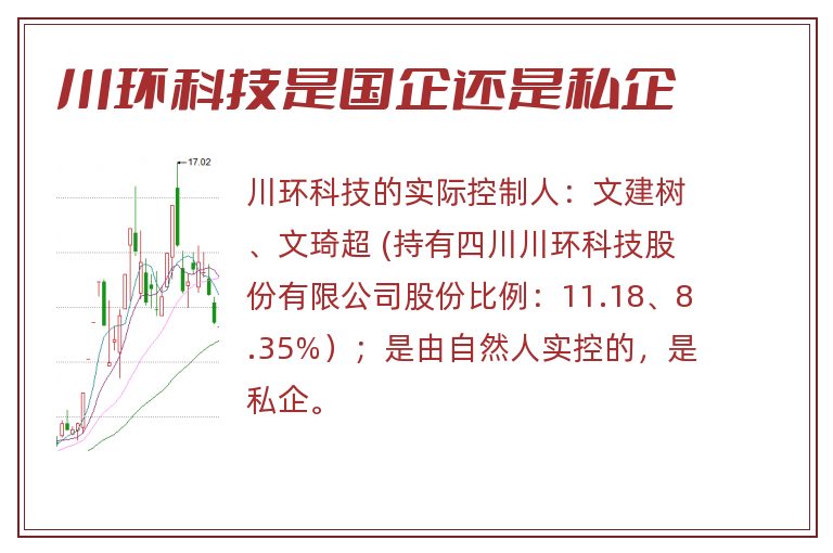 川环科技是国企还是私企