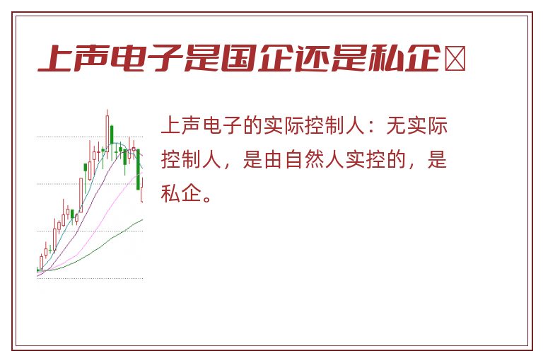 上声电子是国企还是私企	