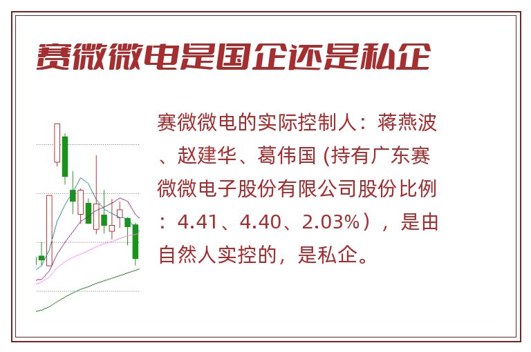 赛微微电是国企还是私企