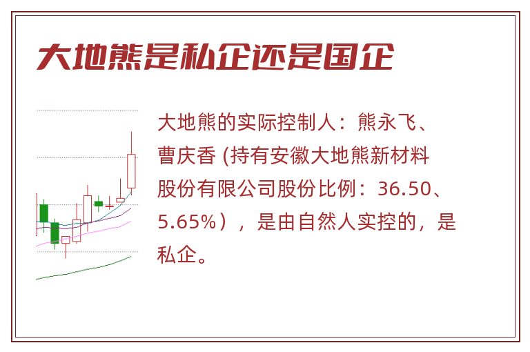 大地熊是私企还是国企