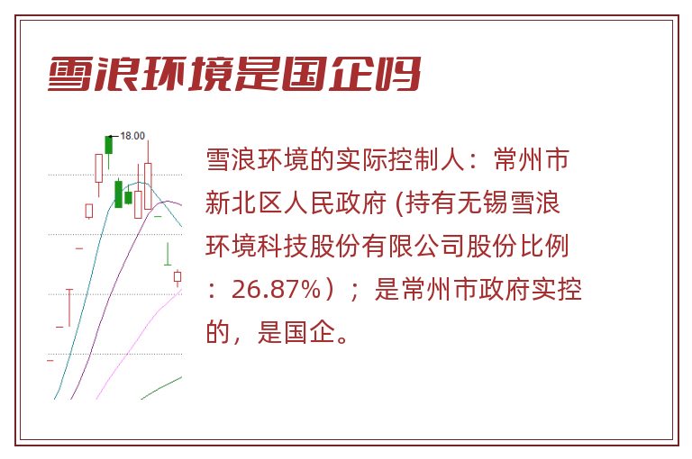 雪浪环境是国企吗