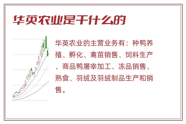 华英农业是干什么的