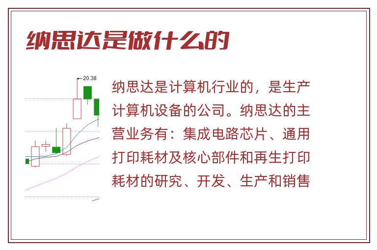 纳思达是做什么的