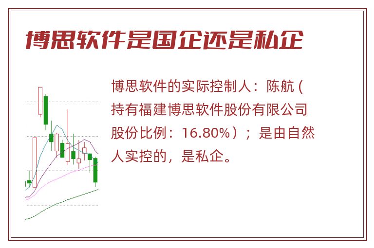 博思软件是国企还是私企