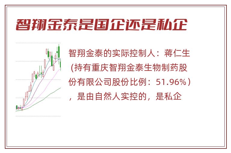 智翔金泰是国企还是私企